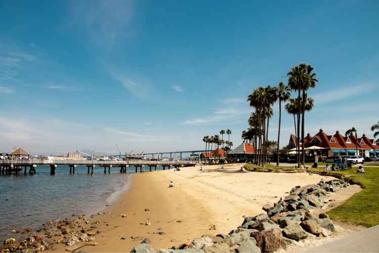 Scenic view of Long Beach shoreline with a sandy beach, palm trees, a wooden pier, and red-roofed buildings, illustrating the coastal area where private investigator and private detective services in Long Beach are available.